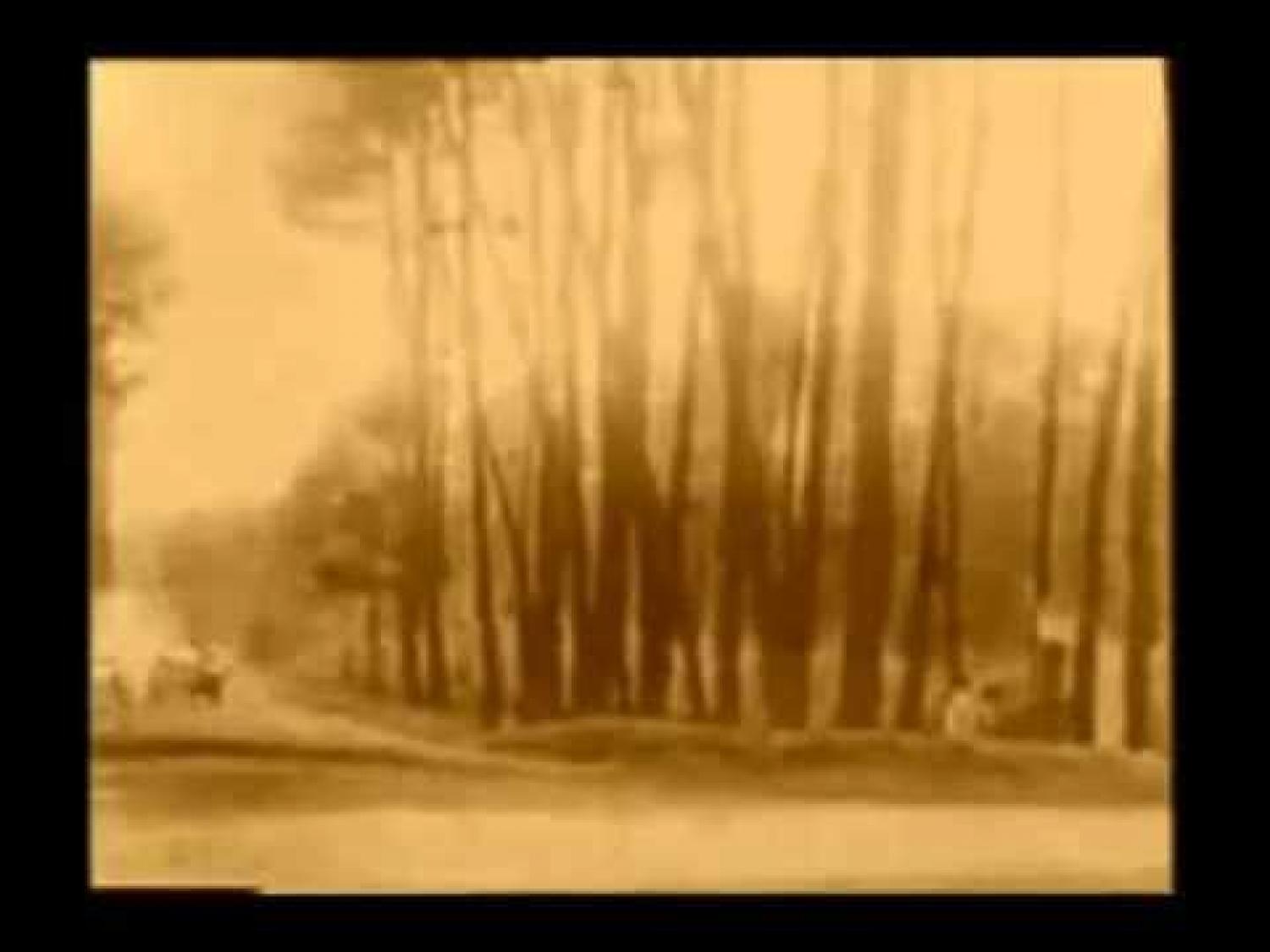 The 1929 Le Mans 24 Hours : the Bentley Boys dominate